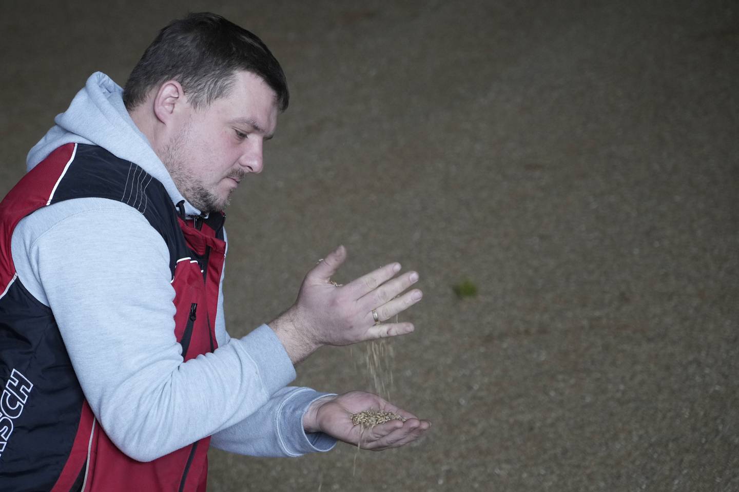 Piotr Korycki lets grain fall through his fingers on his farm in Cywiny Wojskie, Poland.