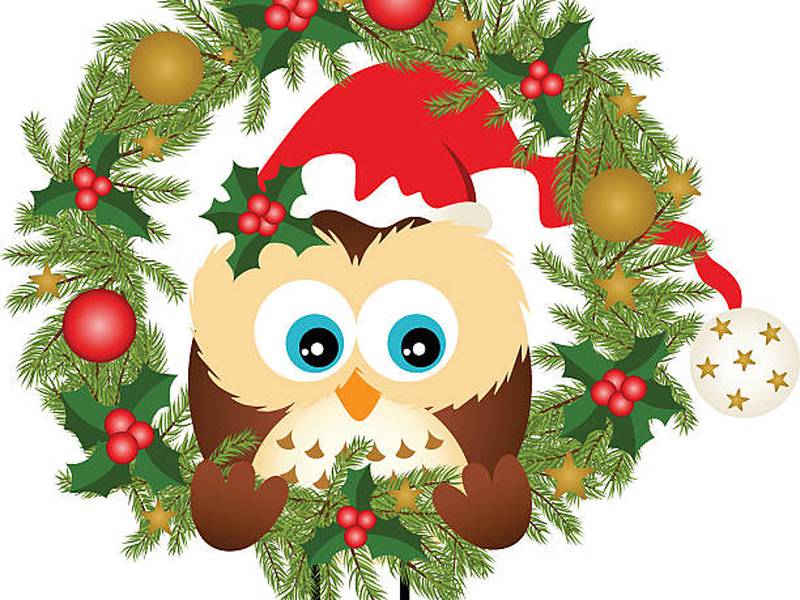 A Christmas critters adventure