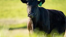 Explore how starting at the soil level can strengthen production at Dudley Smith Farm Field Day