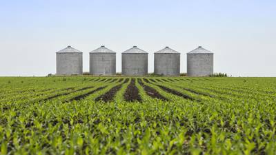 U of I paper spotlights challenges, solutions to ag’s role in carbon markets
