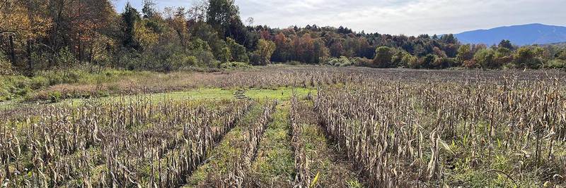 Seventy acres in the heart of Vermont’s Mad River Valley have been conserved under a new federal conservation program, Buy-Protect-Sell.