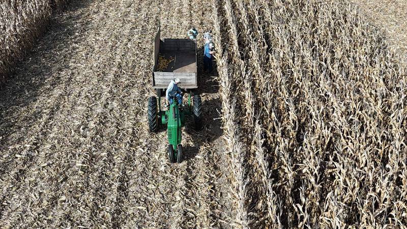 The Indiana State Corn Husking Contest will be held Oct. 4 in Nappanee. The national contest will be held Oct. 17-18 at the same location in northern Indiana.