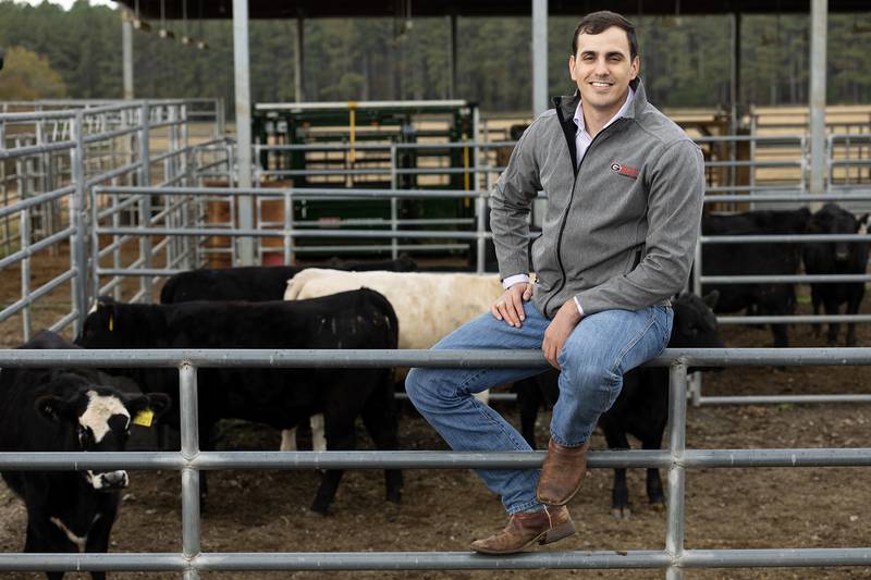 Pedro Fontes, an assistant professor in beef cattle reproductive physiology in the Department of Animal and Dairy Science at the University of Georgia, sits among the cows at the Double Bridges Farm in Athens, home to UGA's beef and sheep unit.