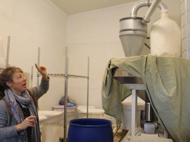 Heirloom, ancient grains grown and marketed from Hazzard Free Farm