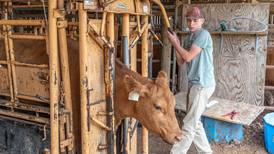 Get better drenching results with these application tips