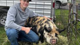 FFA members named Stars for exceptional projects
