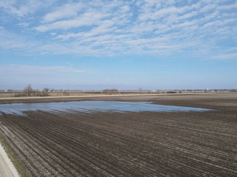 Poor drainage results in field ponding, which negatively impacts soil health and crop yields.