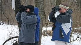 Calendar: Prepare for Christmas Bird Count