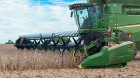 7 global trends for 2025: Soy outlook for emerging markets