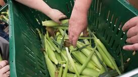 ISDA announces $2 million to Indiana food banks