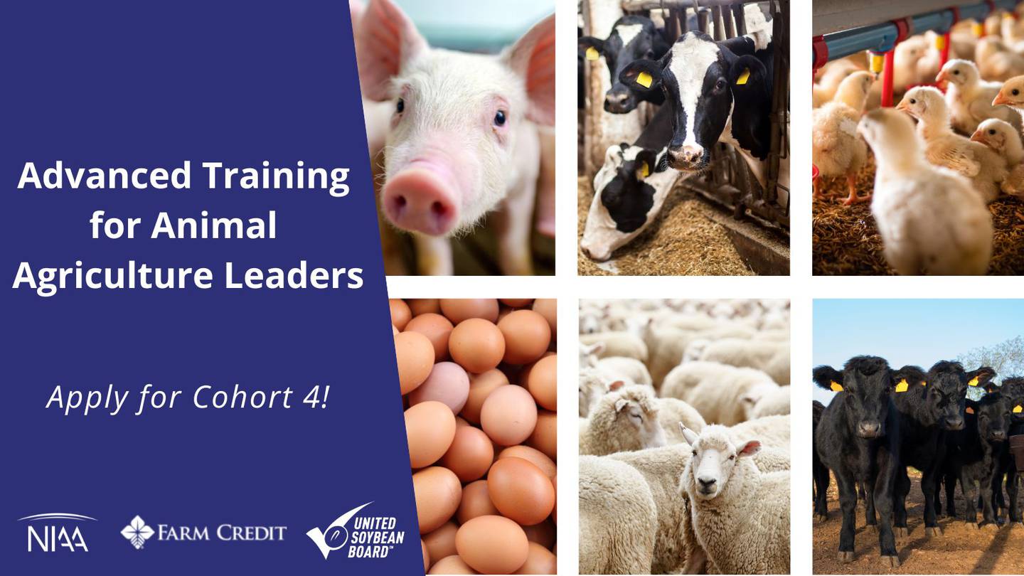 Applications are available for the Advanced Training for Animal Agriculture Leaders program for Cohort 4.