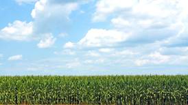 The Zipline: Fueling a greener future