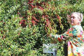 Property provides acres of land for foraging