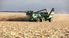 Manage corn rootworm in 2023