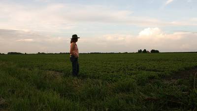 No-cost mental health access for ag community