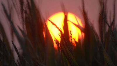 Why farmers are feeling squeezed